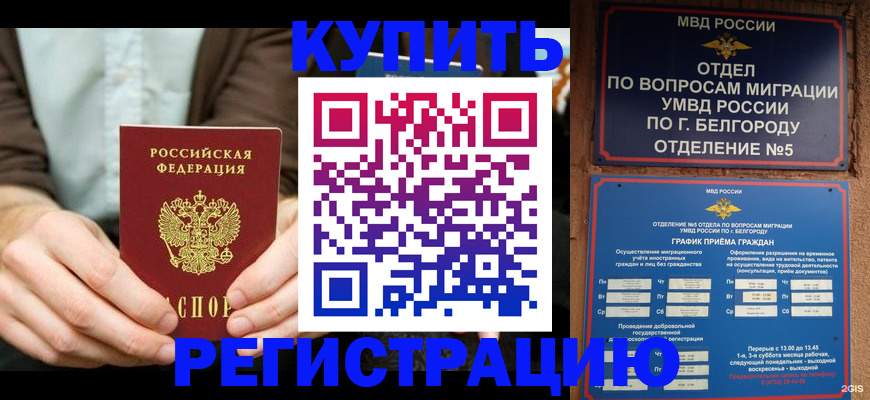 прописка 2025 в Кораблино